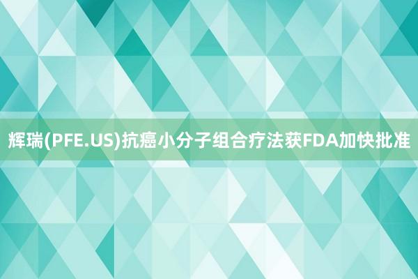 辉瑞(PFE.US)抗癌小分子组合疗法获FDA加快批准